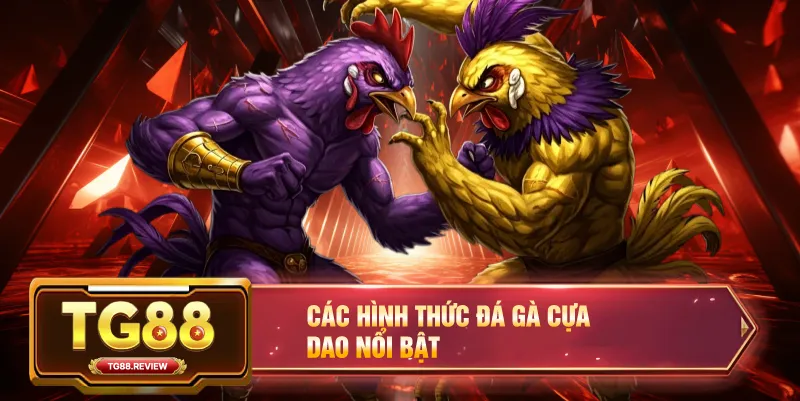 Các Hình Thức Đá Gà Cựa Dao Nổi Bật