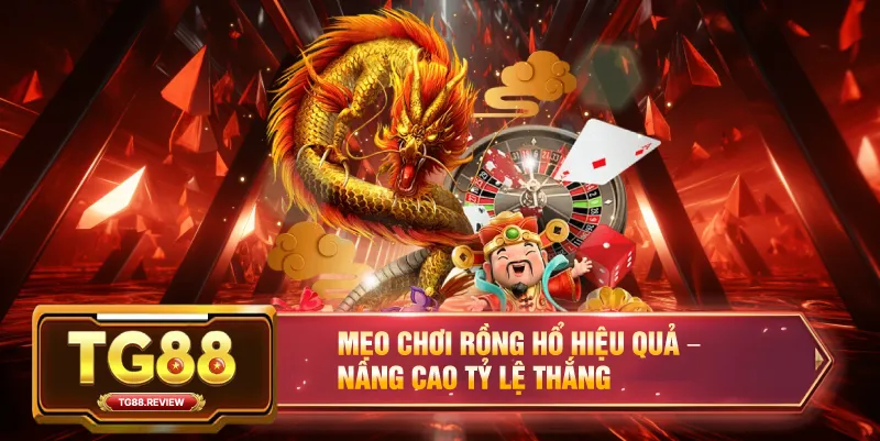 Mẹo Chơi Rồng Hổ Hiệu Quả – Nâng Cao Tỷ Lệ Thắng